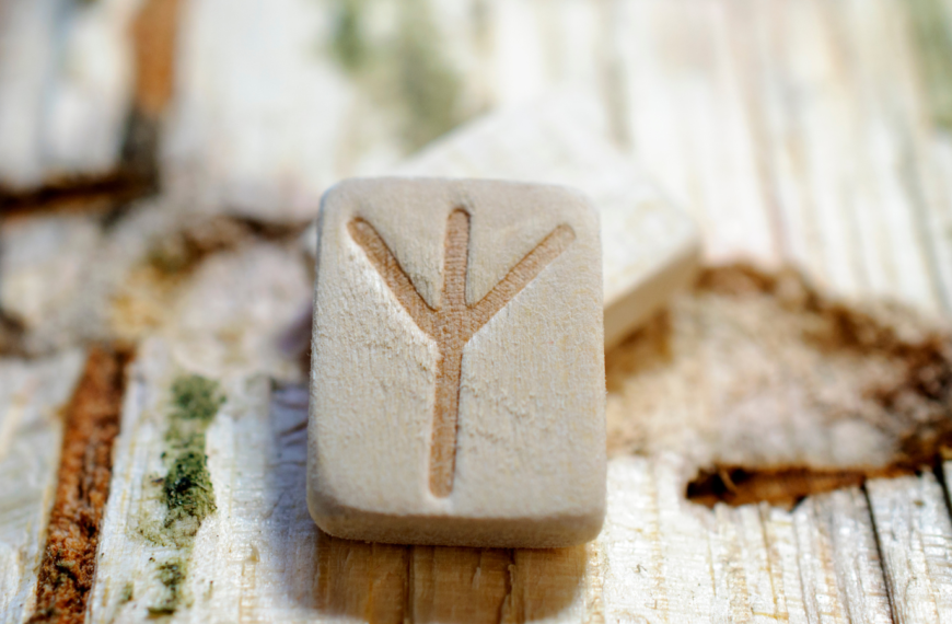 significado de la Runa Algiz