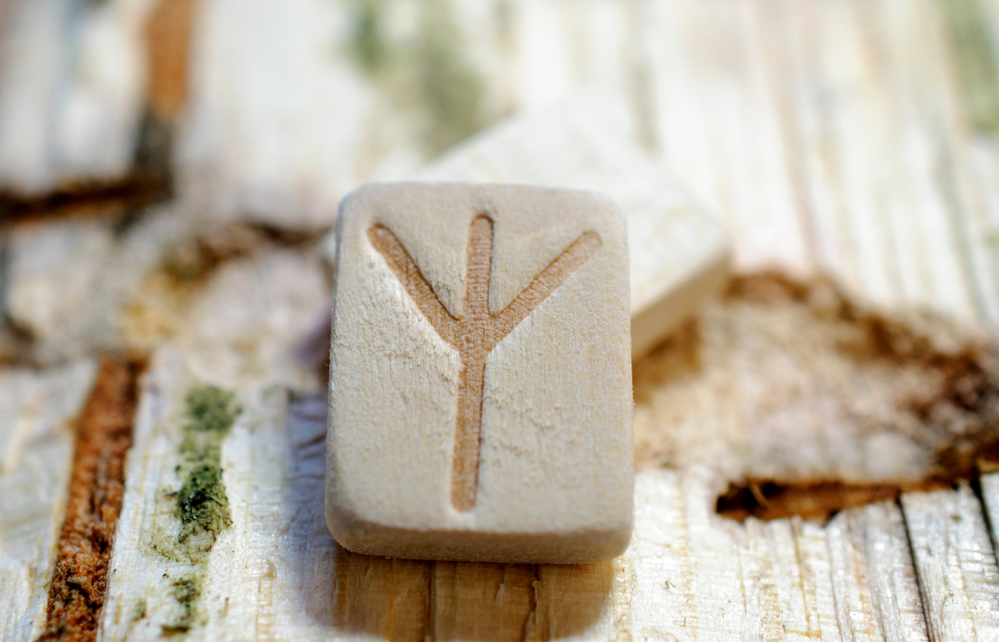 significado de la Runa Algiz