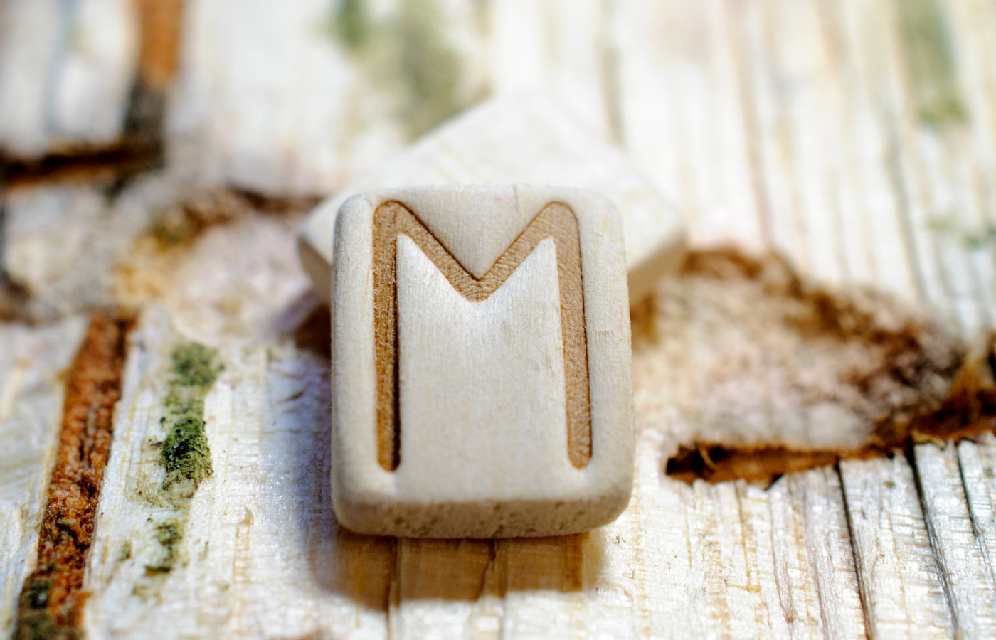 Significado de la Runa Ehwaz