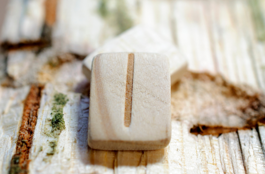 Significado de la Runa Isa