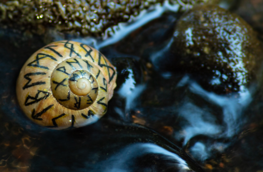 Tipos de Runas runas vikingas